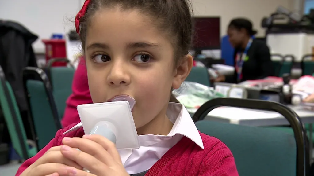 Crypto Verse